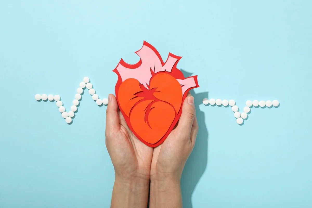 Two hands holding an illustrated, red broken heart 