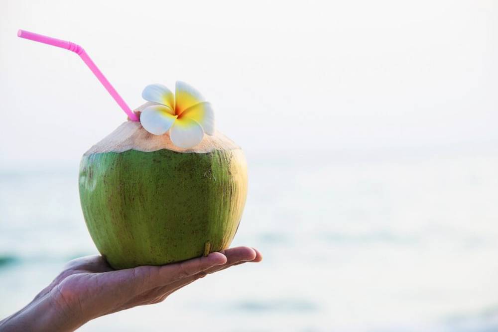 A hand holds a green coconut with a pink straw and a plumeria flower on top.
